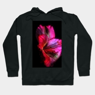 Beautiful Alstromeria Flower Hoodie